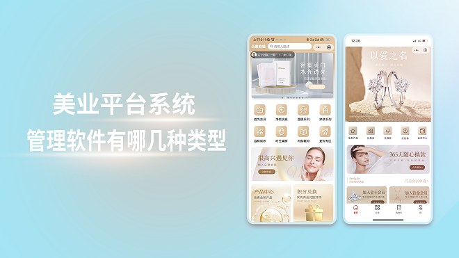 美业平台系统管理软件有哪几种类型