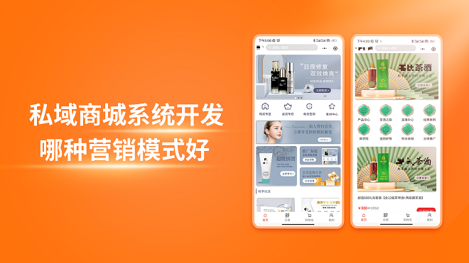 私域商城系统开发哪种营销模式好