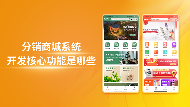 分销商城系统开发核心功能是哪些