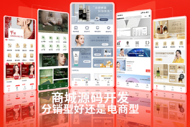 商城源码开发分销型好还是电商型好