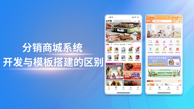 分销商城系统开发与模板搭建的区别