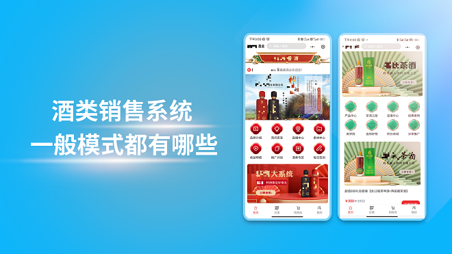 酒类销售系统一般模式都有哪些