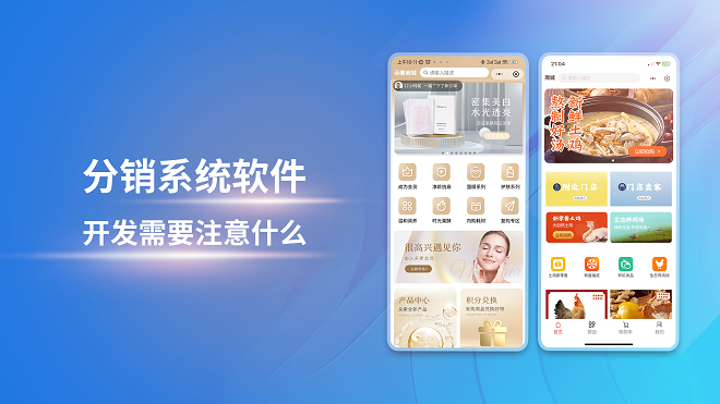 分销系统软件开发需要注意什么