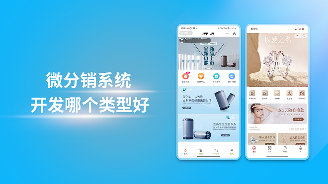 微分销系统开发哪个类型好
