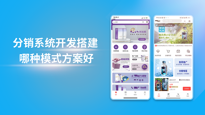 分销系统开发搭建哪种模式方案好