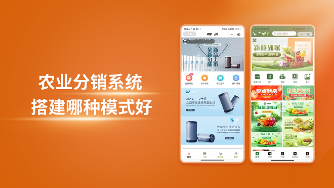 农业分销系统搭建哪种模式好