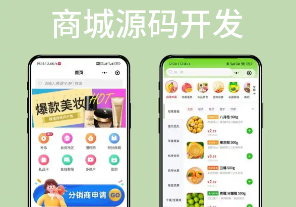 商城源码开发分销型好还是电商型好