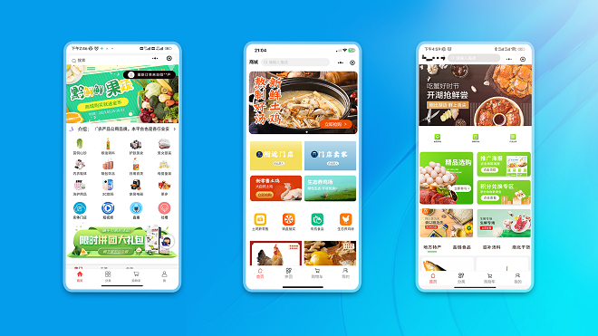 数字农业商城系统开发定制有什么模式