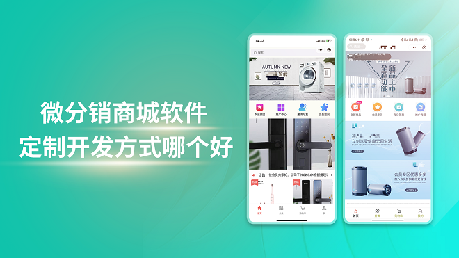 微分销商城软件定制开发方式哪个好