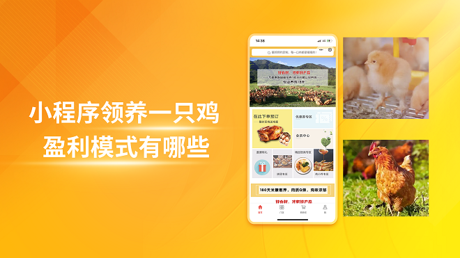 小程序领养一只鸡盈利模式有哪些