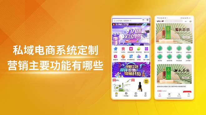 私域电商系统定制营销主要功能有哪些