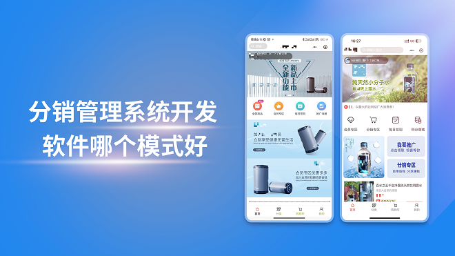 分销管理系统开发软件哪个模式好